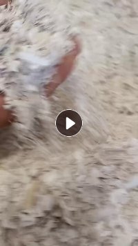 出售硬质PVC扣板破碎料，现货够