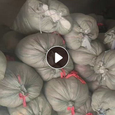 长期出售涤纶废布，涤纶边角料，浅三色涤纶涤纶废布，现货二三十吨