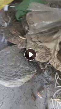 出售pe机头料，做滕条下来的，现货20吨