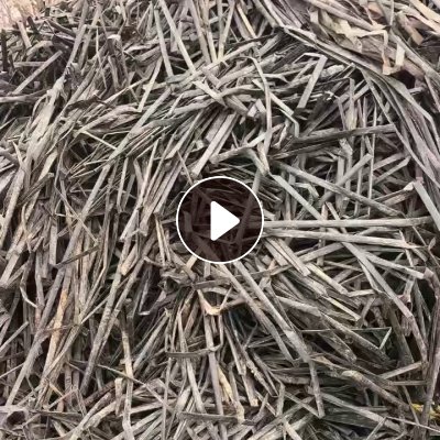 求购废旧滴灌带，贴片，月需2000吨