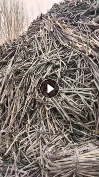 求购废旧滴灌带，贴片，月需2000吨