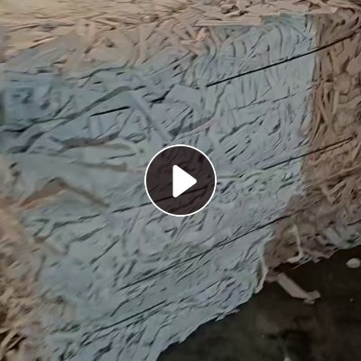 长期出售纯白无膜的长纤手机壳纸