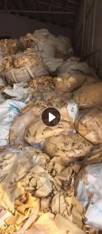 出售本色淋膜纸，单面膜