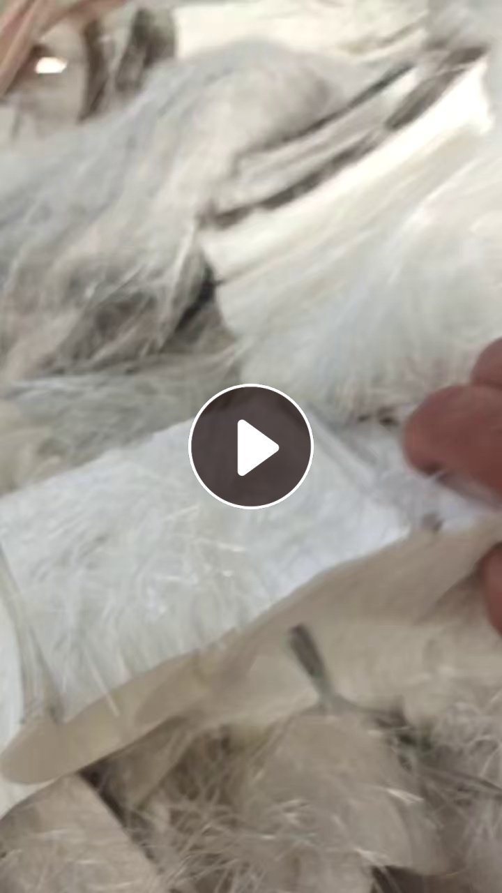 长期出售纯涤纶长丝火烧料，涤纶废丝，已经切断了，现货50吨，含水15左右