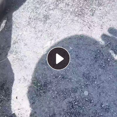 大量求购铝基板粉