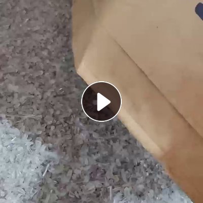 出售眼镜厂下来的PC水口破碎料，月供30吨