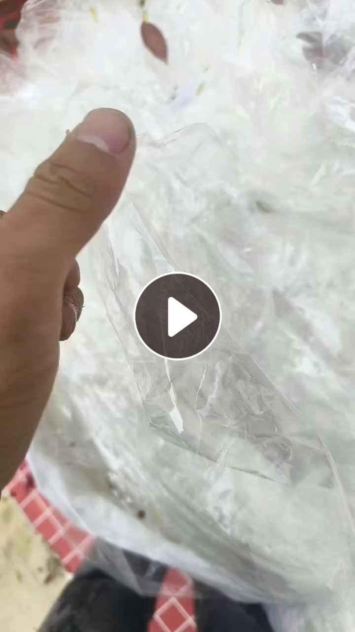 长期出售PET广告膜（复合的）