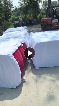 本厂长期求购干净棉粉尘，纯棉涤棉磨毛，废棉，车肚，风箱花，做雪松粉用，要求货都要漂白的。