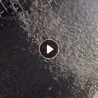 长期出售PP打包带颗粒，过30目，可做风扇底座，填充，雨水收集器，打铸件等，月供600吨