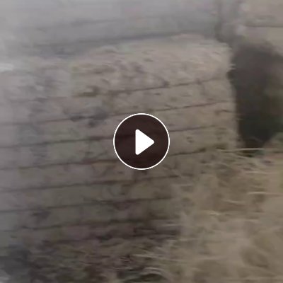 长期出售富士康下来的电子条纸，木浆纸