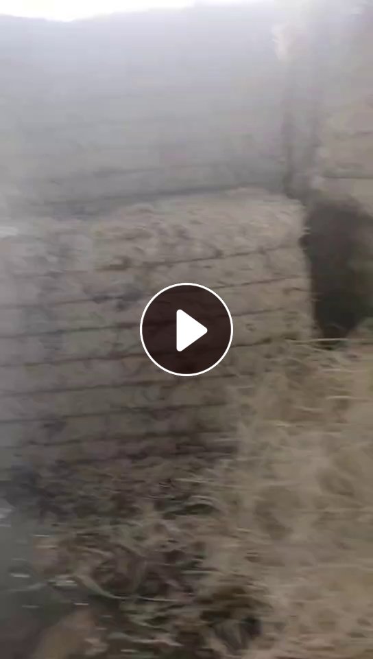 长期出售富士康下来的电子条纸，木浆纸