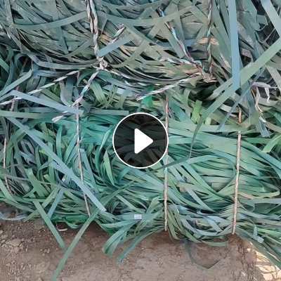 出售PET打包带，现货30吨 