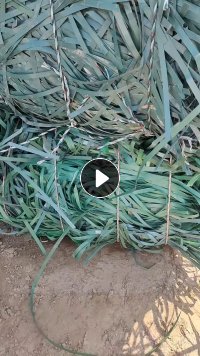 出售PET打包带，现货30吨 