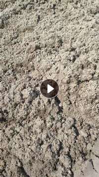 制浆厂长期出售尾浆，浓度22，加工杨木浆下来的