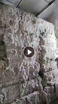 长期出售气流纺下来的涤棉鱼籽棉，漂白本白统货一起走，现货13吨左右