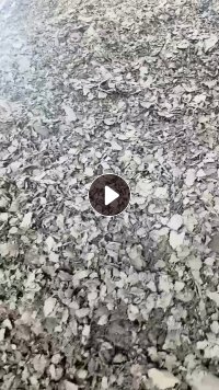 长期出售长纤牛奶盒纸浆