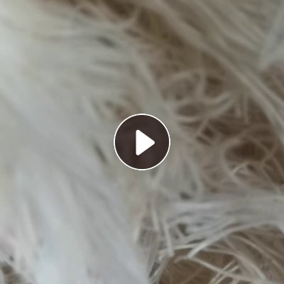 长期出售尼龙废纱，尼龙废丝，锦纶废丝，做香肠剩下的，含30%水分，货在湖南长沙