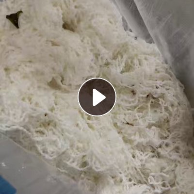 出售喷水机下来的人棉废纱，人棉水丝，月供十来吨，货在广东佛山