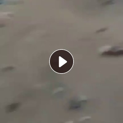 长期大量出售废布料，服装下脚料，黑料，可以供水泥厂，也可以做化工，一天就有百来吨