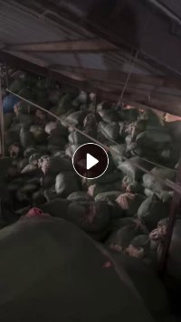 长期大量出售涤纶废布，纯涤纶造粒布，针织涤纶，月供几百吨，货在广东普宁