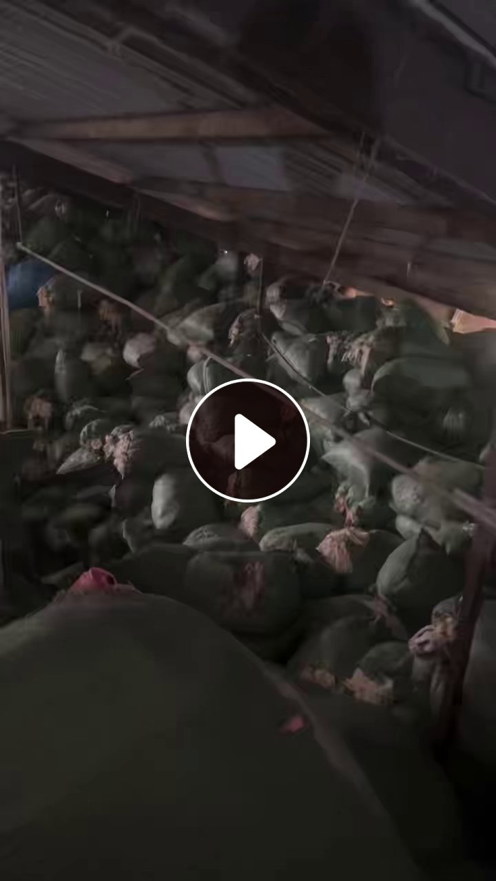 长期大量出售涤纶废布，纯涤纶造粒布，针织涤纶，月供几百吨，货在广东普宁