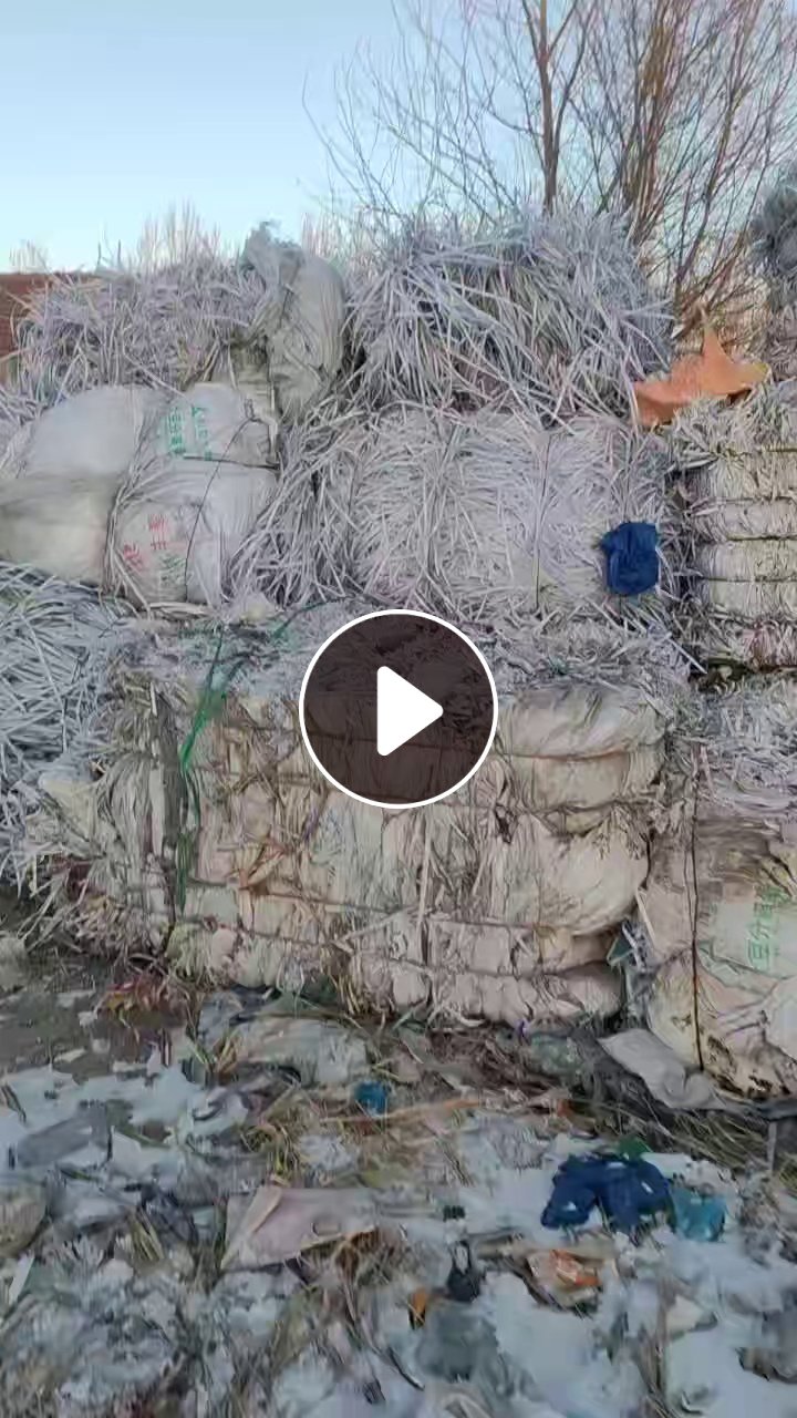 长期出售白色PP打包带