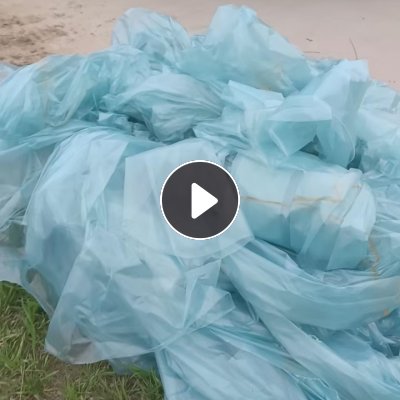 出售废旧大棚膜，现货四五十吨，都是胡萝卜膜