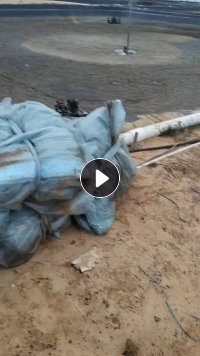 长期出售保温棚膜8C废料，150吨左右