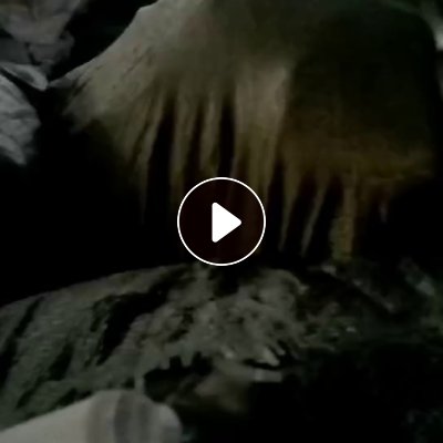 长期出售涤棉白色一漂拉丝布，涤棉废布，拉丝布，现货5吨左右，货在山东临沂。