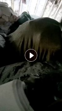 长期出售涤棉白色一漂拉丝布，涤棉废布，拉丝布，现货5吨左右，货在山东临沂。