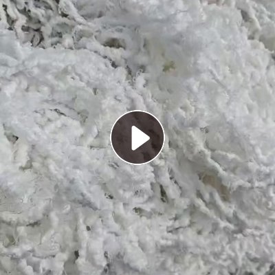 长期出售涤纶水丝，涤纶废丝，150D-200D，含水50%，每天出9.6米一车