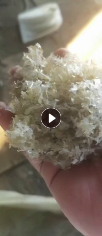 大量出售PVC秧盘粉碎料