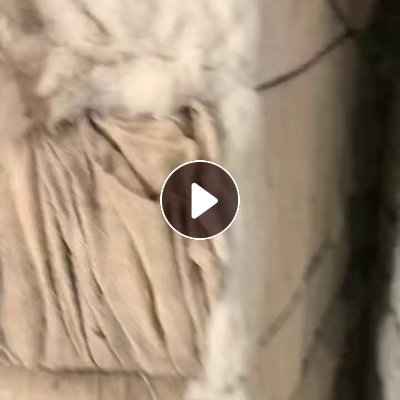 长期出售纱厂的下角料加工的风箱棉，鱼籽棉，含棉80左右，能纺7-10支纱，现货31吨左右