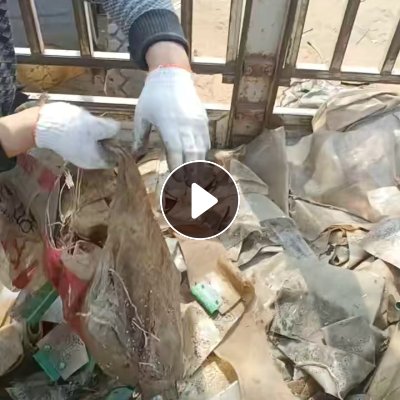 出售PVC水晶门帘废料，现货8吨多