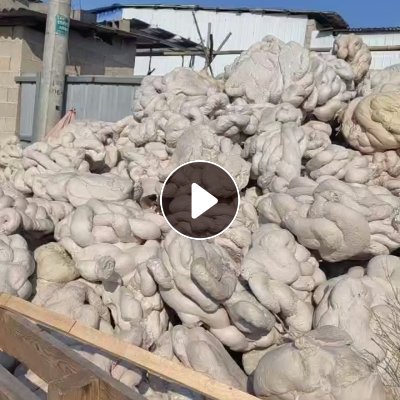 出售KT板热熔块，月供10吨多