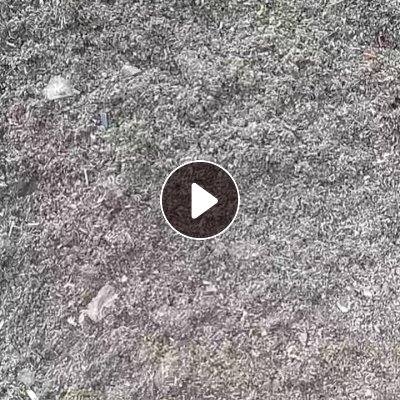 长期出售abs/ps粉末炼油料，出油5左右，现货2车