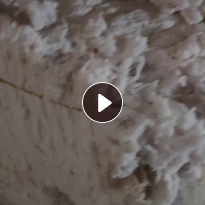 长期出售气流纺下脚料出的漂白涤棉车肚棉，含棉量20左右，现货30吨