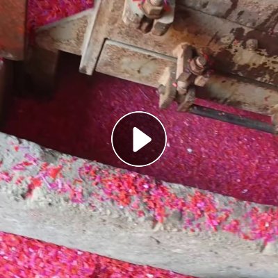 出售PP水果筐破碎料，长期有货