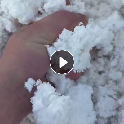 长期出售白色涤纶磨毛料，毛毛料，含水分的，现货二十多吨