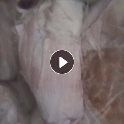 出售纯pp无纺布，无纺布边角料，现货6.8米一车