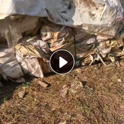 长期出售废牛皮纸塑袋