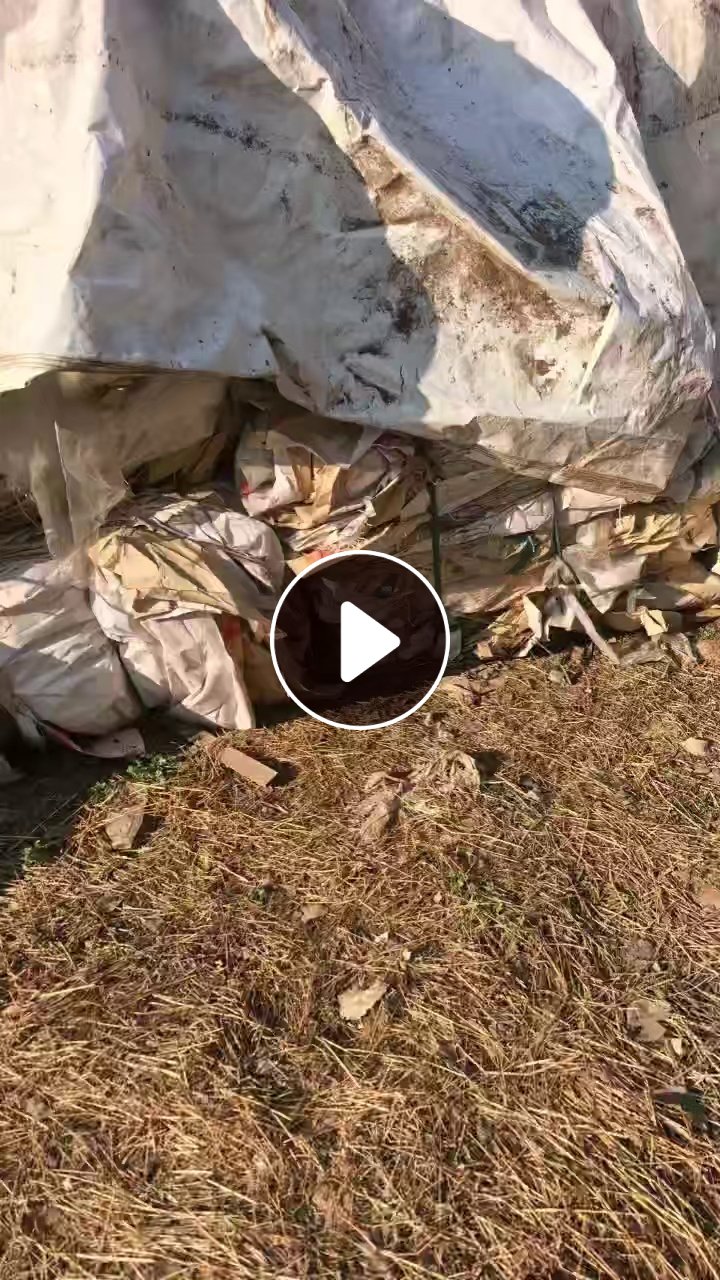 长期出售废牛皮纸塑袋