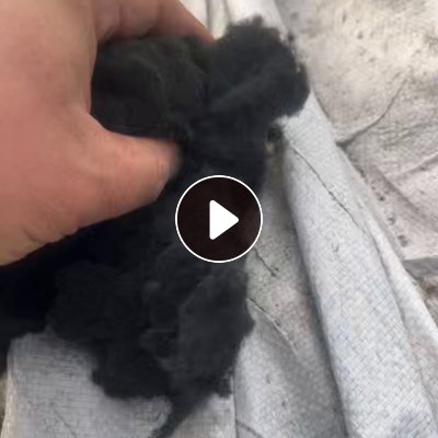 长期出售PVC吹毛料，磨毛料，毛毛料，现货有半挂车，货在山东潍坊