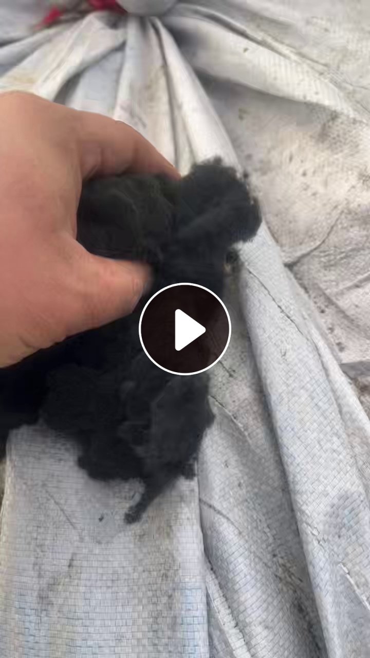 长期出售PVC吹毛料，磨毛料，毛毛料，现货有半挂车，货在山东潍坊