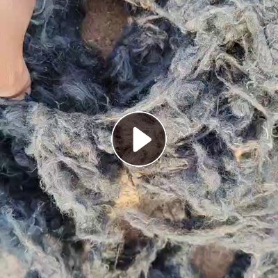 长期出售水煮毛，羊毛，羊皮快煮的，货在河南汝州