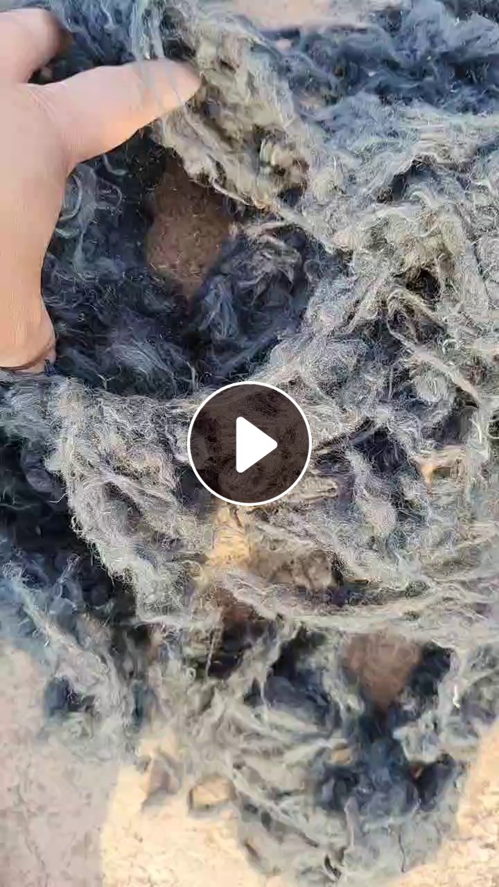 长期出售水煮毛，羊毛，羊皮快煮的，货在河南汝州