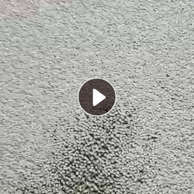 出售PET切片、PETG切片、再生切片