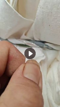 长期出售针叶白色浆板包皮