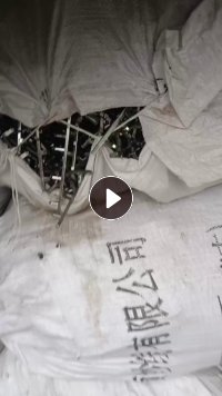 长期出售电镀abs水口料，电镀abs废料