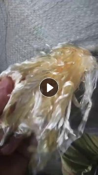 长期出售腈纶长丝，腈纶废丝，现货33吨